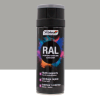 Richard Colorant RICHARD Oldószeres AKRIL FESTÉK SPRAY RAL9006 Fehéralumínium