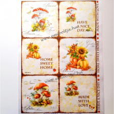  Rizspapír, gombák, hat kép dekorációs kellék