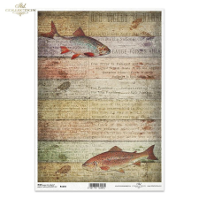  Rizspapír - Halak dekorációs kellék