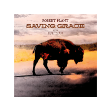  Robert Plant - Saving Grace (CD) rock / pop