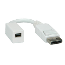 ROLINE Adapter DisplayPort - mini DisplayPort M/F (12.03.3132) kábel és adapter