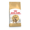 Royal Canin Bengal Adult 2 kg