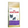 Royal Canin British Shorthair Adult - Brit rövidszőrű felnőtt macska száraz táp 10 kg