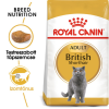 Royal Canin British Shorthair Adult - Brit rövidszőrű felnőtt macska száraz táp 400 g
