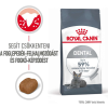 Royal Canin Dental Care - Száraz táp felnőtt macskák részére a fogkőképződés csökkentéséért 1.5kg