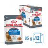 Royal Canin Light Weight Care - Szószos nedves táp felnőtt macskák részére az ideális testsúly eléréséért (24 x 85 g) 2.04kg