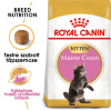 Royal Canin Maine Coon Kitten - Maine Coon kölyök macska száraz táp (2 x 2 kg) 4kg