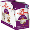 Royal Canin Sensory Taste Jelly - Zselés felnőtt macska nedves táp fokozott íz élménnye (48 x 85 g) 4.08kg