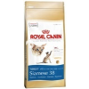 Royal Canin Siamese Adult - Sziámi felnőtt macska száraz táp 400 g