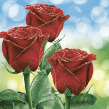 Rózsa Classic Red szalvéta 20 db-os 33x33 cm party kellék