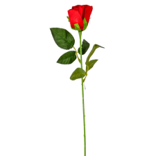  Rózsa szálas bársony piros M51cm 72db/# dekorációs kellék