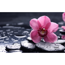  Rózsaszín orchidea tapéta, 300 x 200 cm tapéta, díszléc és más dekoráció