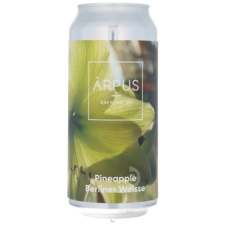  Ārpus Brewing Co. - Pineapple Berliner Weisse (0,44) (5 %) sör