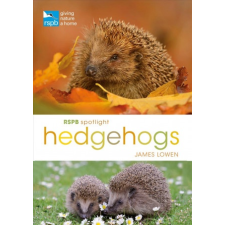  RSPB Spotlight Hedgehogs – James Lowen idegen nyelvű könyv