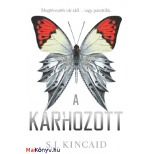 S. J. Kincaid : A kárhozott ajándékkönyv