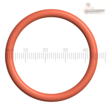 Saeco Incanto központi egység tömítés (nagyobb fajta) kávéfőző kellék