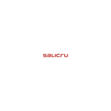Salicru INTERNAL SNMP CARD (663AA002254) szünetmentes áramforrás