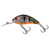 Salmo wobbler rattlin' hornet h5,5 gfp