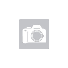 Salmo WOBBLER TINY IT3S SBT csali