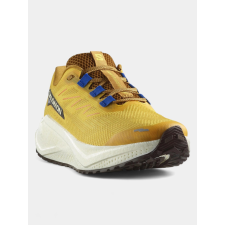 Salomon Aero Blaze 3 GRVL D férfi cipő