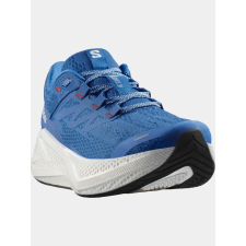 Salomon Aero Glide 3 D férfi cipő