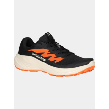 Salomon Alphaglide D férfi cipő
