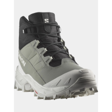 Salomon Crosstrak Wp W D női cipő