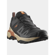 Salomon X Ultra 360 Gore-Tex D