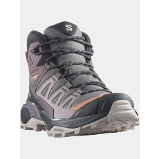 Salomon X Ultra 360 Mid Gore-Tex D