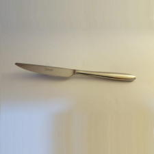 Salvinelli FAST rm. desszertkés 2,5mm, 6db, nem dobozos, CFFFA kés és bárd