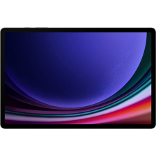 Samsung Galaxy Tab S9 Ultra 5G 256GB X916 tablet pc