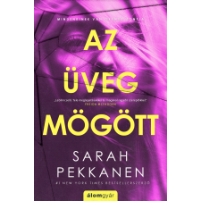 Sarah Pekkanen - Az üveg mögött regény