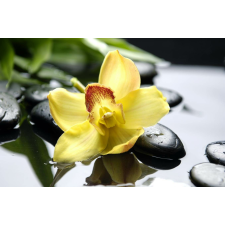  Sárga orchidea tapéta, 400 x 250 cm tapéta, díszléc és más dekoráció