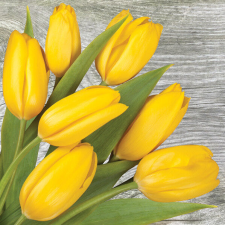  Sárga tulipán On Wood szalvéta 20 db-os 33x33 cm papírárú, csomagoló és tárolóeszköz