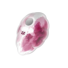 Satisfyer Cloud Dancer - akkus léghullámos csiklóizgató (pink-fehér)