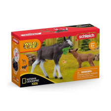 Schleich 42603 Jávorszarvas borjúval - Natgeo Kids játékfigura