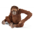  Schleich Orangután nőstény SLH14775