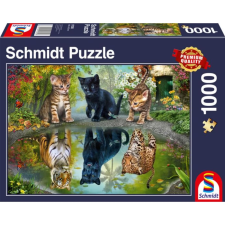SCHMIDTSPIELE Puzzle játék 1000 darabos Dream Big! puzzle, kirakós