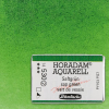 Schmincke Horadam akvarellfesték, 1/1 szilkés - 530, sap green