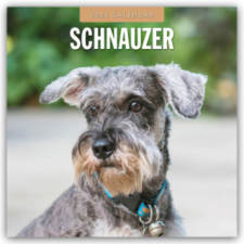  Schnauzer 2025 - 16-Monatskalender – Red Robin Publishing Ltd naptár, kalendárium
