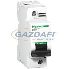 SCHNEIDER A9N18446 ACTI9 C120H kismegszakító, 1P, C, 80A villanyszerelés