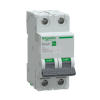 SCHNEIDER Easy9 Pro kismegszakító 2P C 6A 6kA