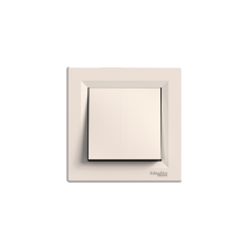 Schneider Electric ASFORA EGYPÓLUSÚ KAPCSOLÓ BÉZS 101 PEPH0100123 villanyszerelés