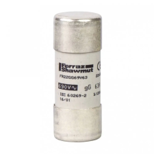 Schneider Electric DF2FN100 gG Biztosítóbetét 22x58 100A villanyszerelés