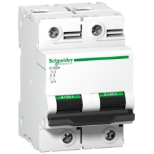 Schneider Electric Kismegszakító 2P,100A, D karakterisztika, 15 kA Acti9 C120H (Schneider A9N18502) villanyszerelés
