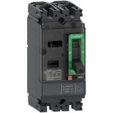 Schneider Electric NSX160F 125A 2P 36KA DC megszakító C16F2TM125 Schneider villanyszerelés