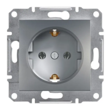 SCHNEIDER EPH2900162 ASFORA 2P+F csatlakozóaljzat, csavaros, acél villanyszerelés