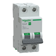 SCHNEIDER EZ9F57202 EASY9 PRO Kismegszakító, 2P, C, 2A villanyszerelés