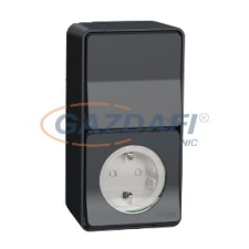 SCHNEIDER MUR36024 MUREVA Styl 2P+F csatlakozóaljzat, váltókapcsolóval (2P+F/106), komplett, antracitszürke villanyszerelés