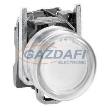 SCHNEIDER XB4BP183B5EX ATEX D világító nyomógomb, fém, 1NO, fehér, átlátszó védősapkával, 24VAC/DC villanyszerelés